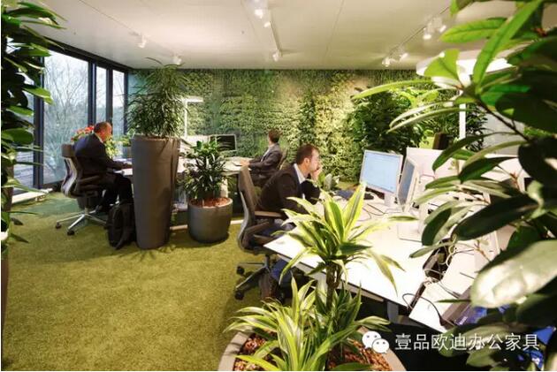 为什么办公室里一定要养植物？-草莓视频网站下载欧迪办公家具