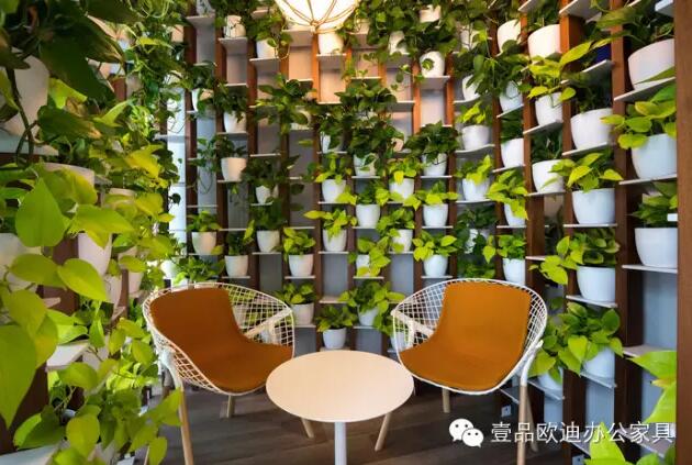 为什么办公室里一定要养植物？-草莓视频网站下载欧迪办公家具