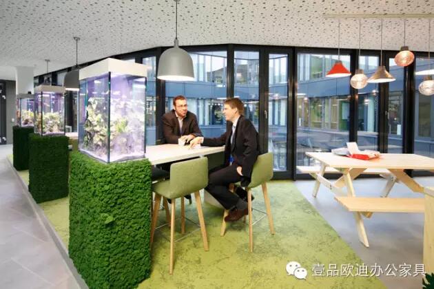 为什么办公室里一定要养植物？-草莓视频网站下载欧迪办公家具