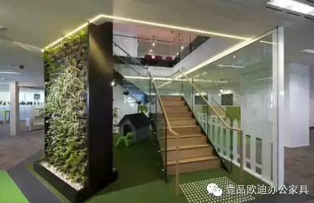 为什么办公室里一定要养植物？-草莓视频网站下载欧迪办公家具