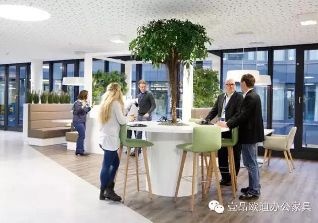 为什么办公室里一定要养植物？-草莓视频网站下载欧迪办公家具