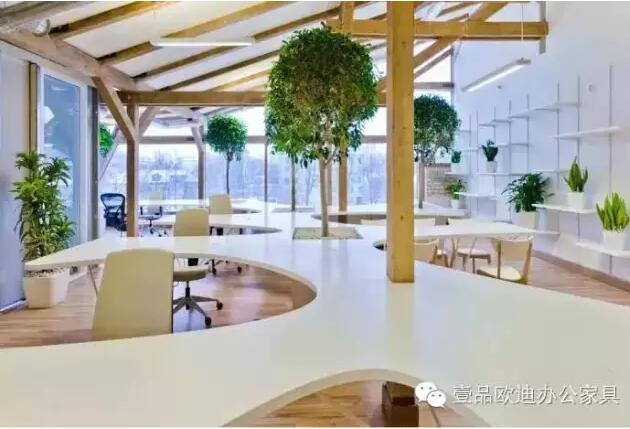 为什么办公室里一定要养植物？-草莓视频网站下载欧迪办公家具