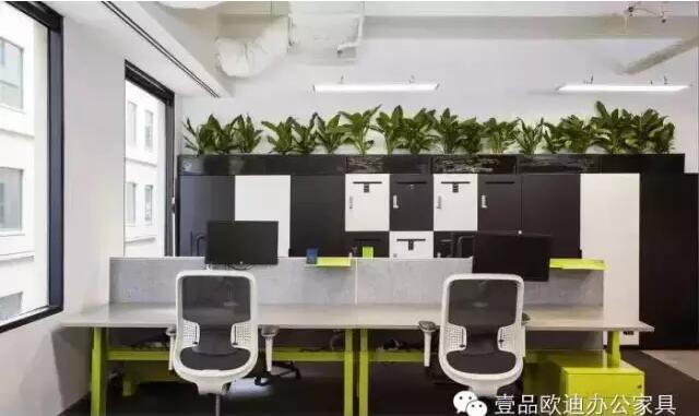 为什么办公室里一定要养植物？-草莓视频网站下载欧迪办公家具