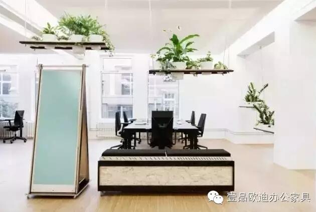 为什么办公室里一定要养植物？-草莓视频网站下载欧迪办公家具