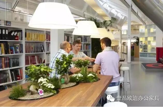 为什么办公室里一定要养植物?-草莓视频网站下载欧迪办公家具 为什么办公室里一定要养植物?-草莓视频网站下载欧迪办公家具